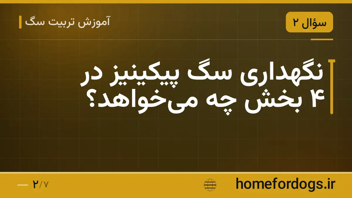 نگهداری سگ پیکینیز در ۴ بخش چه می‌خواهد؟