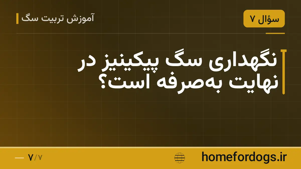 نگهداری سگ پیکینیز در نهایت به‌صرفه است؟