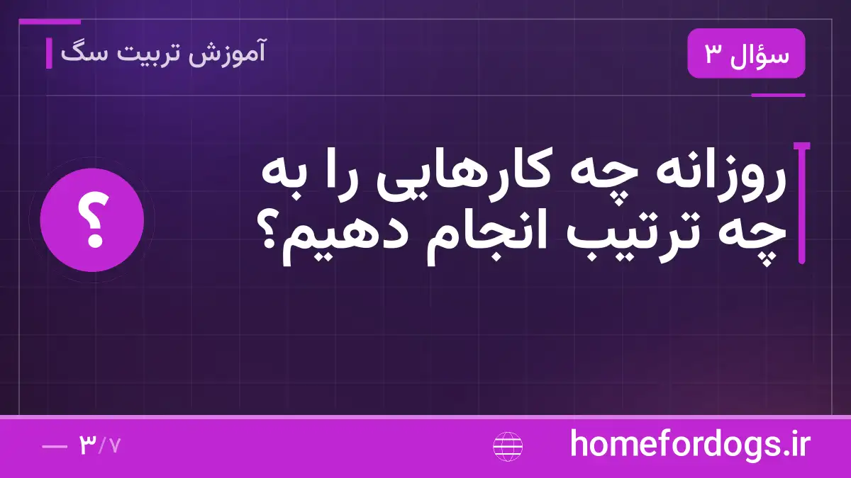 روزانه چه کارهایی را به چه ترتیب انجام دهیم؟