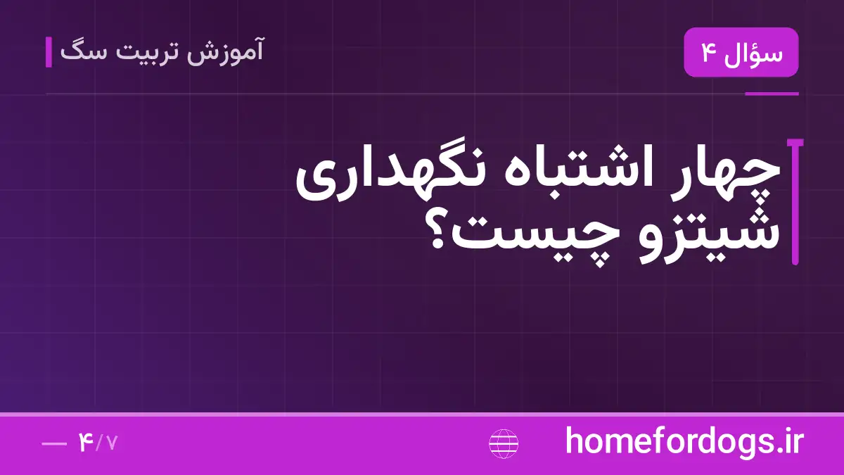چهار اشتباه نگهداری شیتزو چیست؟