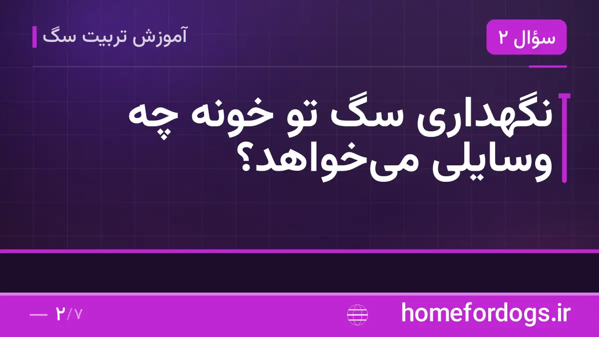 نگهداری سگ تو خونه چه وسایلی می‌خواهد؟