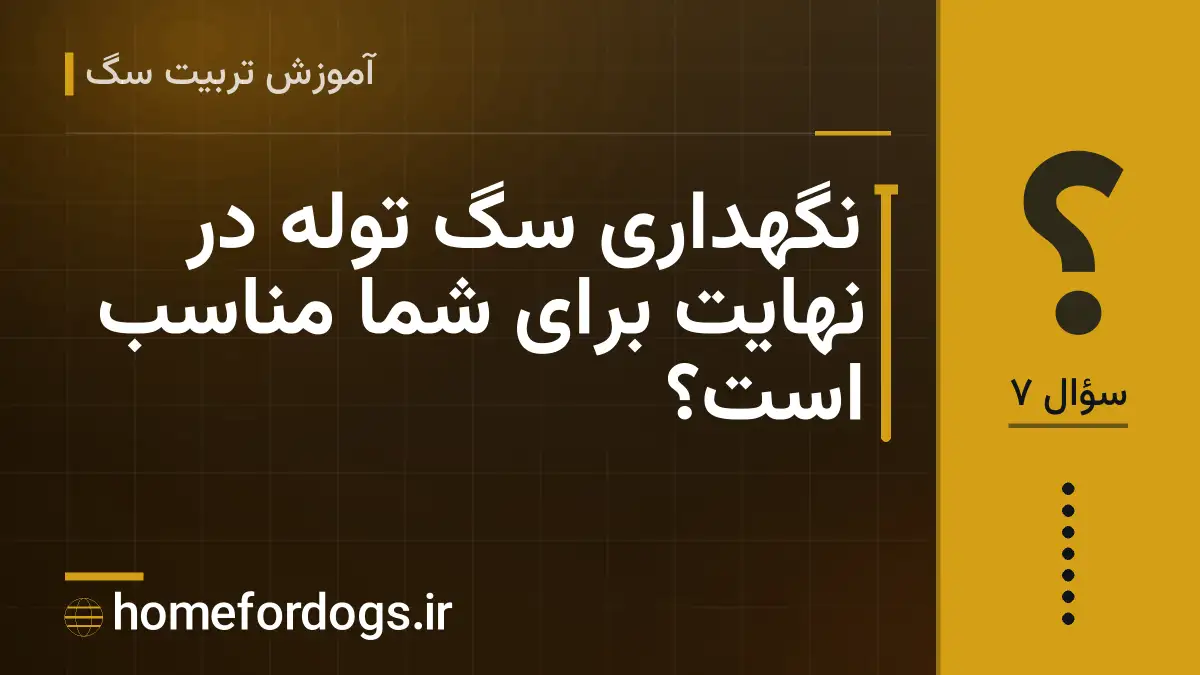 نگهداری سگ توله در نهایت برای شما مناسب است؟