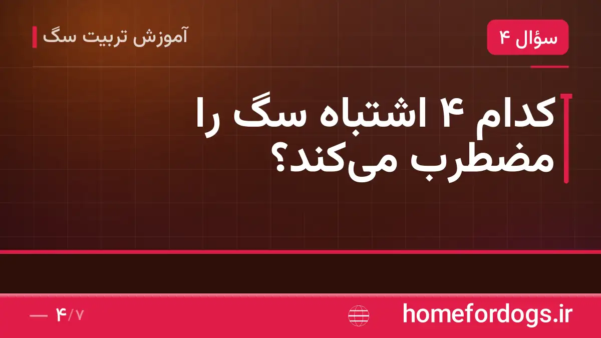 کدام ۴ اشتباه سگ را مضطرب میکند؟
