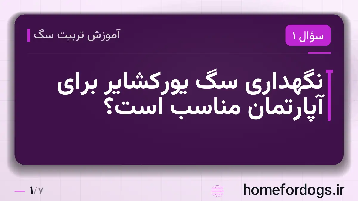 نگهداری سگ یورکشایر برای آپارتمان مناسب است؟