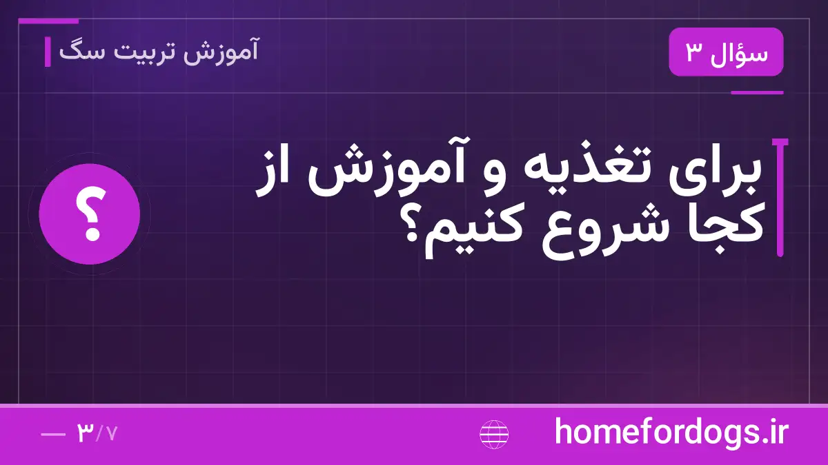 برای تغذیه و آموزش از کجا شروع کنیم؟