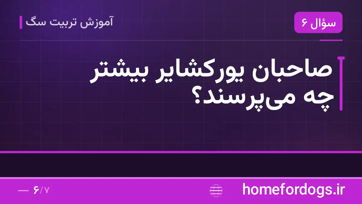 صاحبان یورکشایر بیشتر چه می‌پرسند؟
