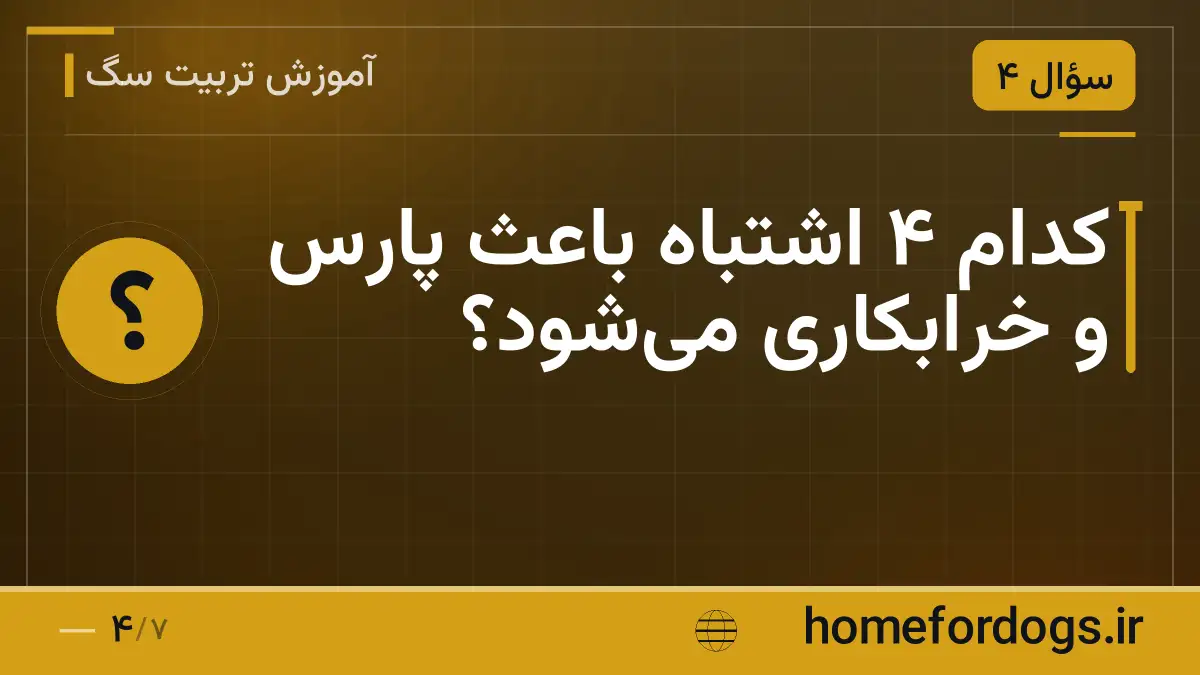 کدام ۴ اشتباه باعث پارس و خرابکاری میشود؟
