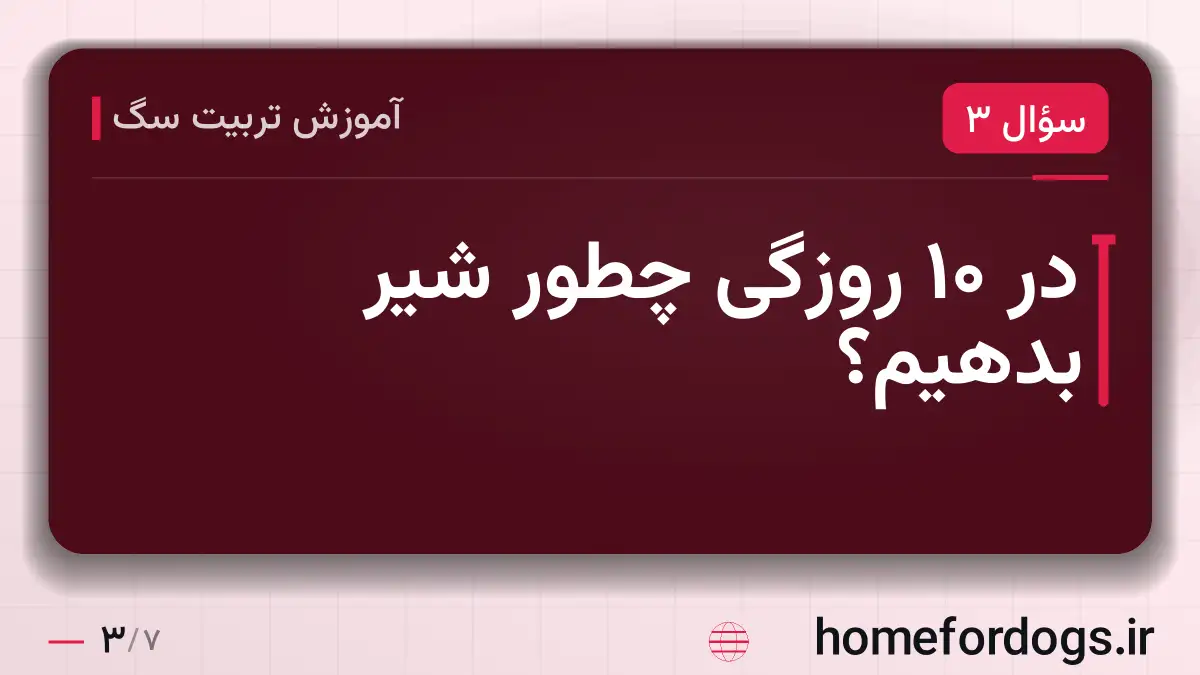 در ۱۰ روزگی چطور شیر بدهیم؟