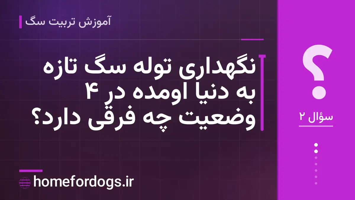 نگهداری توله سگ تازه به دنیا اومده در ۴ وضعیت چه فرقی دارد؟
