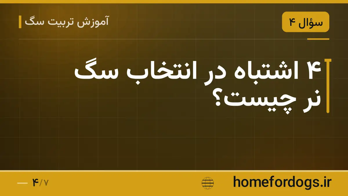 ۴ اشتباه در انتخاب سگ نر چیست؟