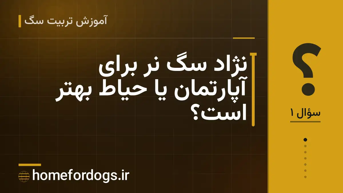 نژاد سگ نر برای آپارتمان یا حیاط بهتر است؟