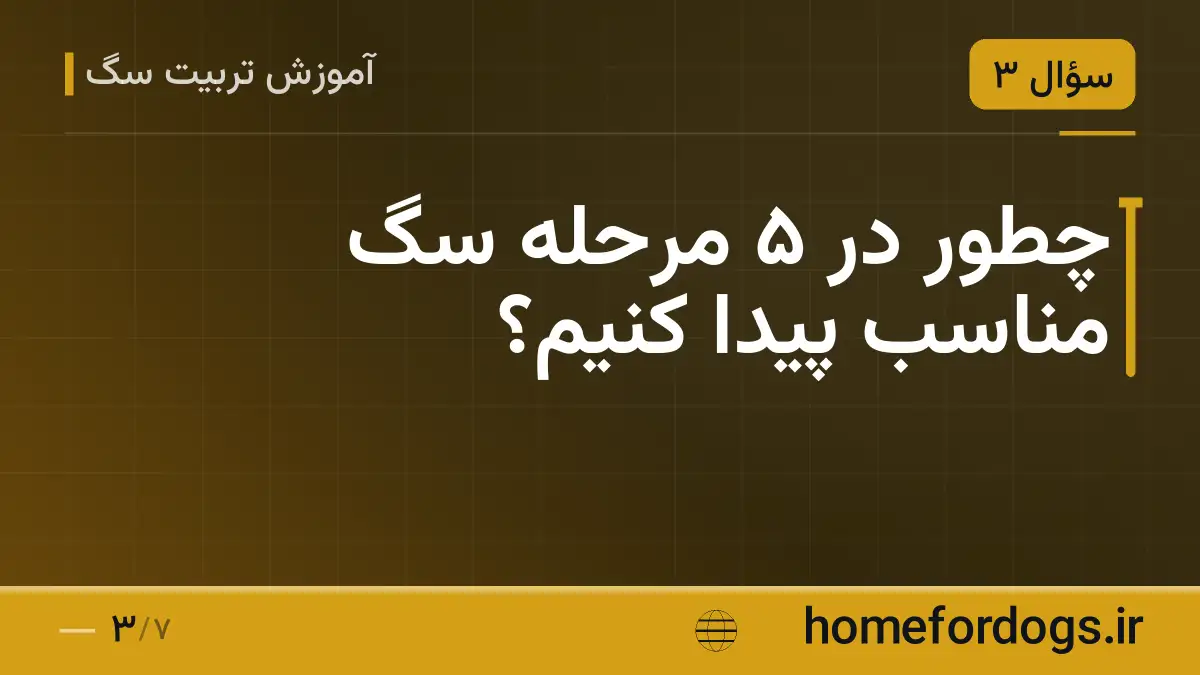 چطور در ۵ مرحله سگ مناسب پیدا کنیم؟