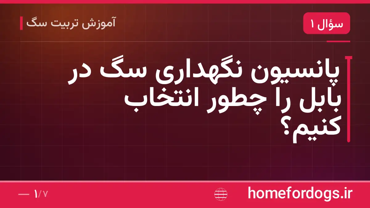 پانسیون نگهداری سگ در بابل را چطور انتخاب کنیم؟