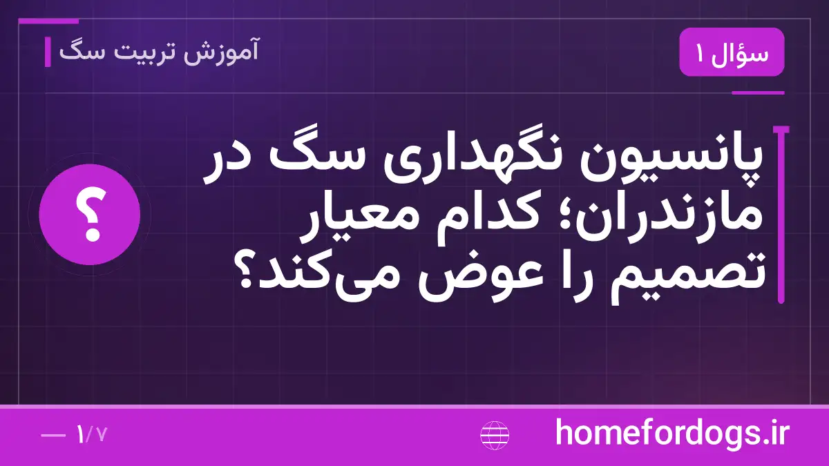 پانسیون نگهداری سگ در مازندران؛ کدام معیار تصمیم را عوض می‌کند؟