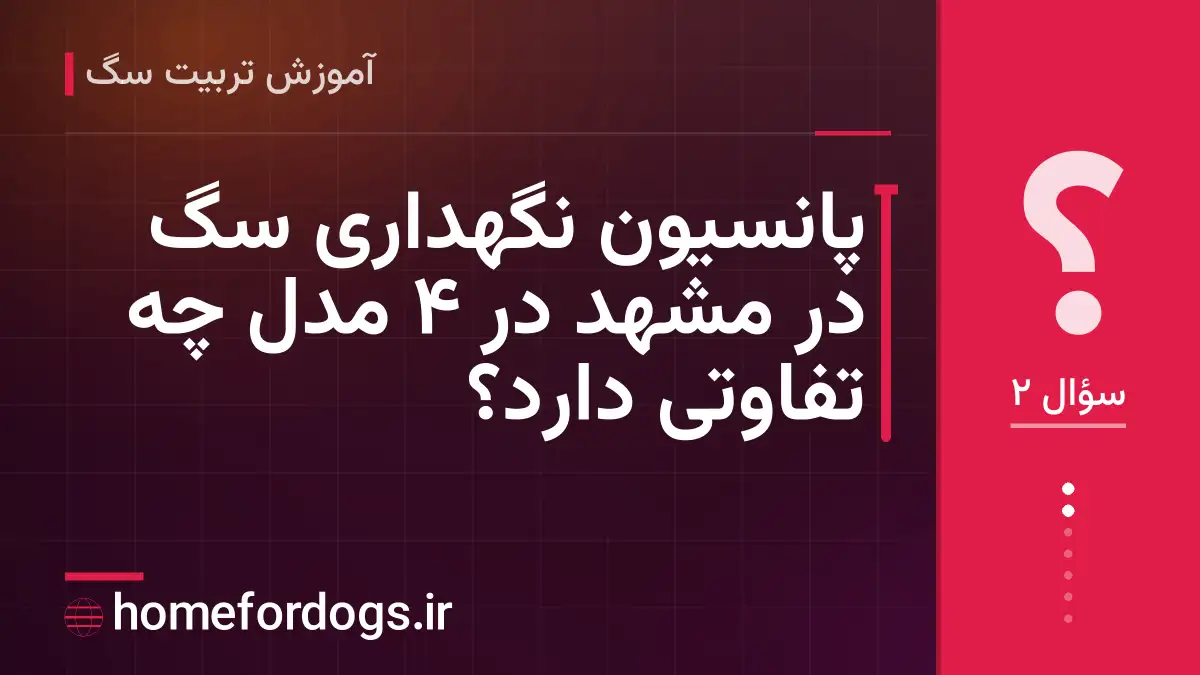 پانسیون نگهداری سگ در مشهد در ۴ مدل چه تفاوتی دارد؟