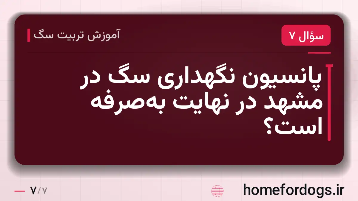 پانسیون نگهداری سگ در مشهد در نهایت به‌صرفه است؟