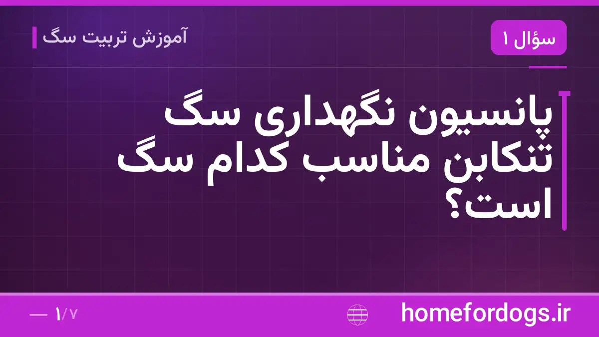پانسیون نگهداری سگ تنکابن مناسب کدام سگ است؟