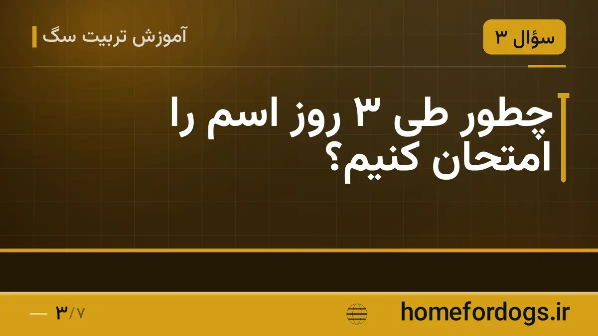 چطور طی ۳ روز اسم را امتحان کنیم؟