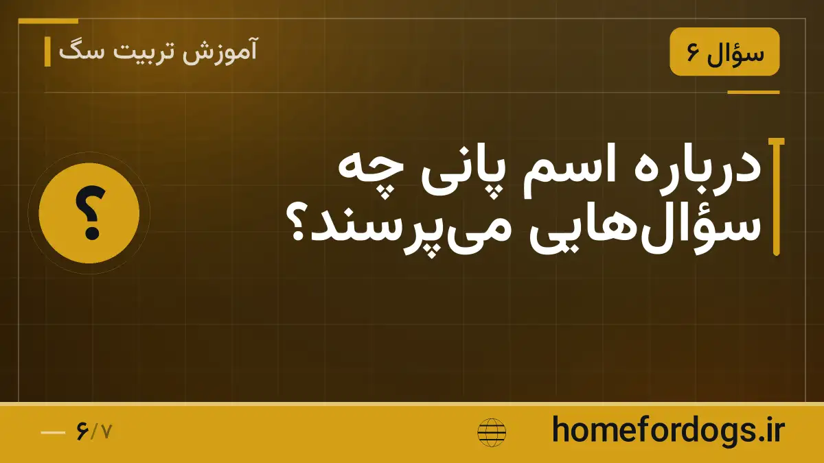 درباره اسم پانی چه سؤال‌هایی می‌پرسند؟