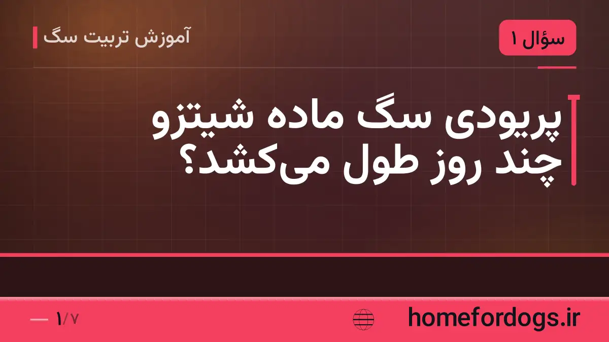 پریودی سگ ماده شیتزو چند روز طول می‌کشد؟