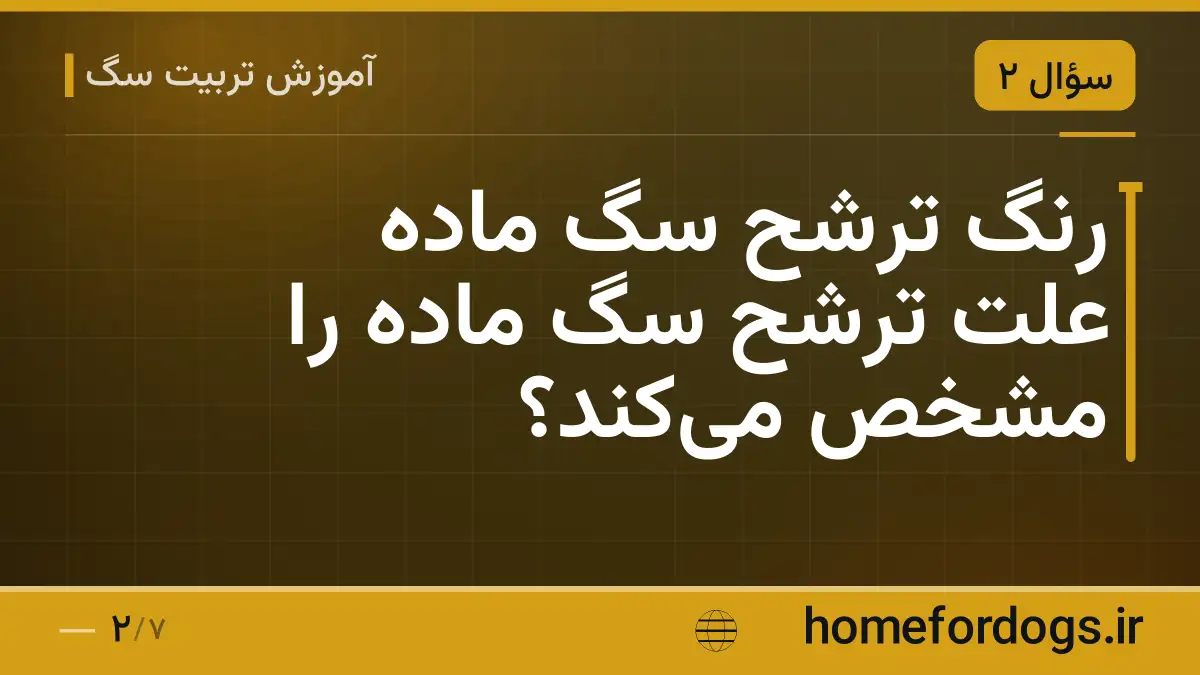 رنگ ترشح سگ ماده علت ترشح سگ ماده را مشخص میکند؟