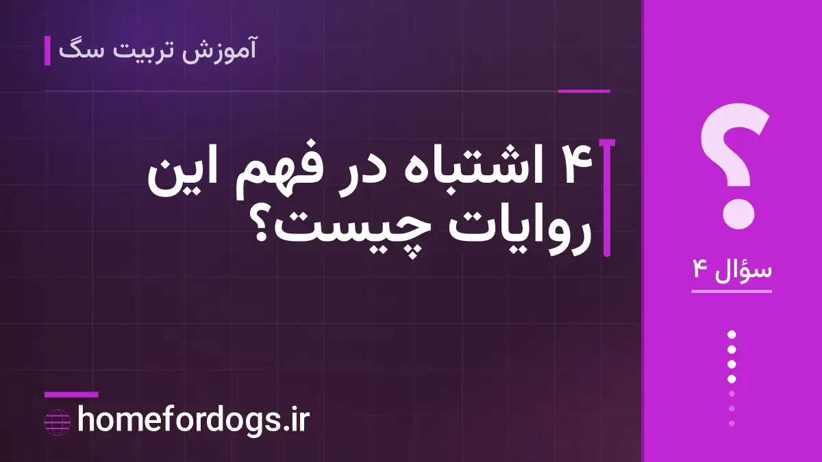 ۴ اشتباه در فهم این روایات چیست؟