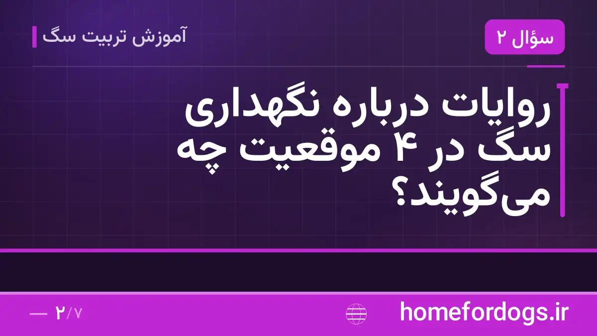 روایات درباره نگهداری سگ در ۴ موقعیت چه میگویند؟
