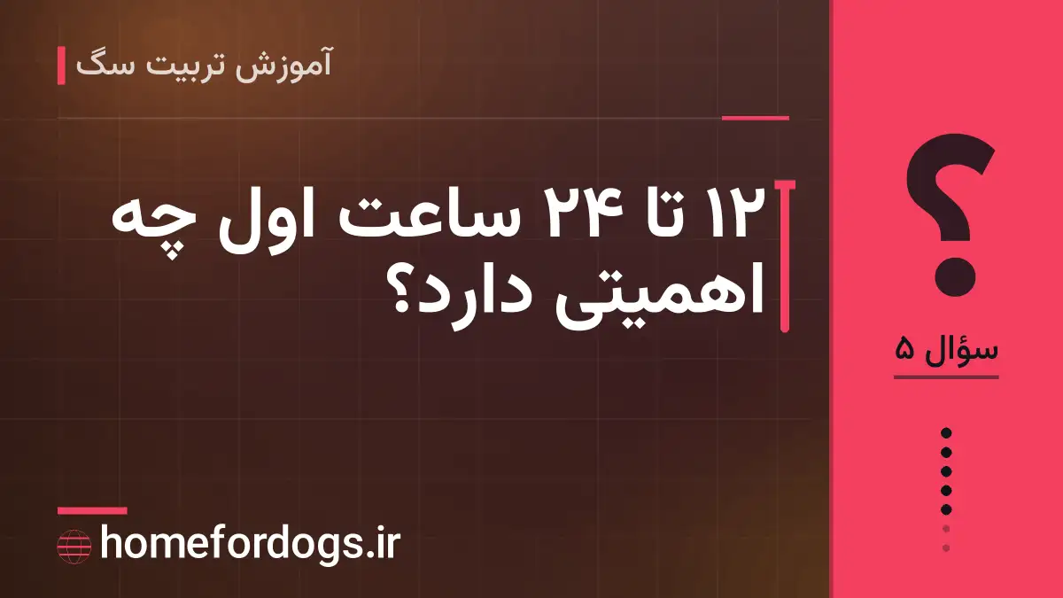 ۱۲ تا ۲۴ ساعت اول چه اهمیتی دارد؟