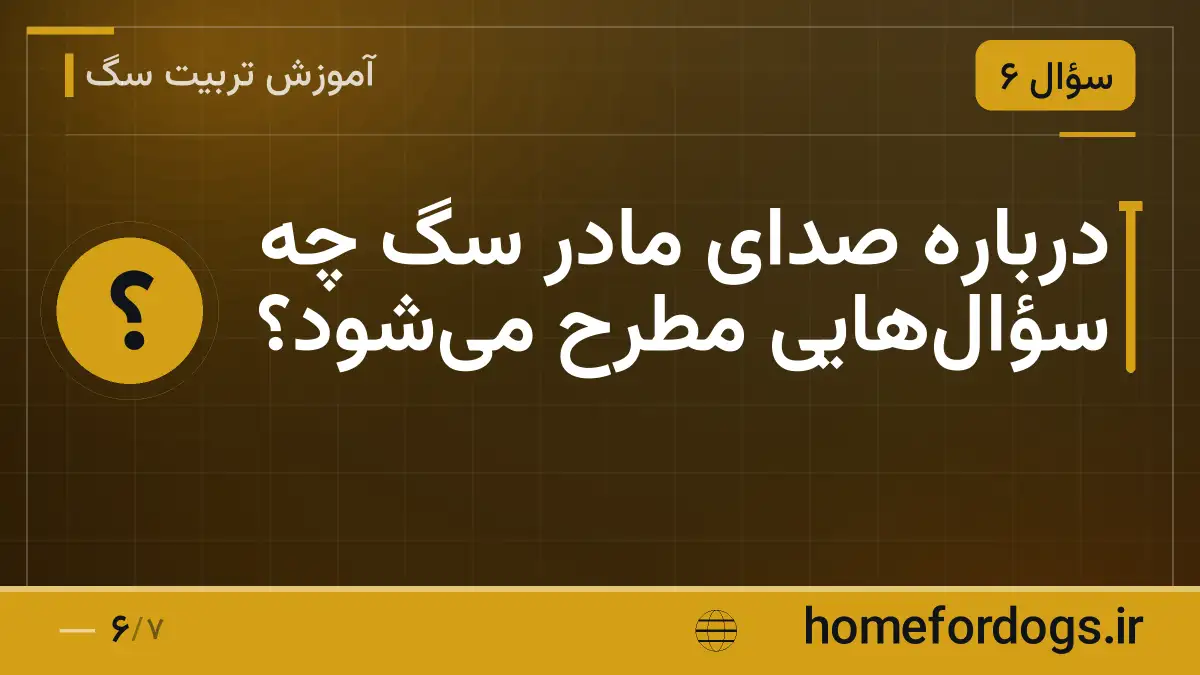 درباره صدای مادر سگ چه سؤال‌هایی مطرح می‌شود؟