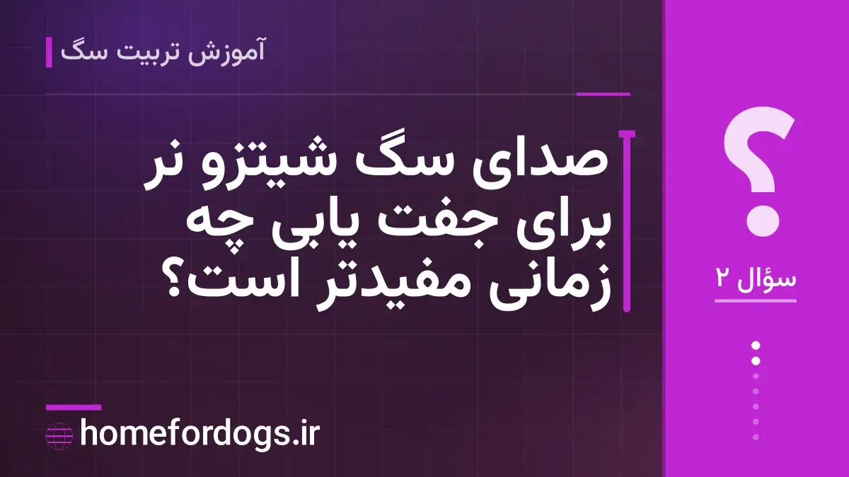 صدای سگ شیتزو نر برای جفت یابی چه زمانی مفیدتر است؟