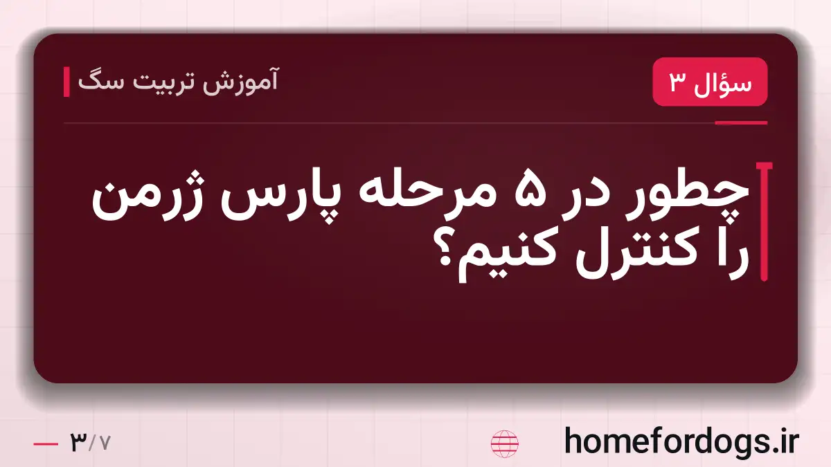 چطور در ۵ مرحله پارس ژرمن را کنترل کنیم؟