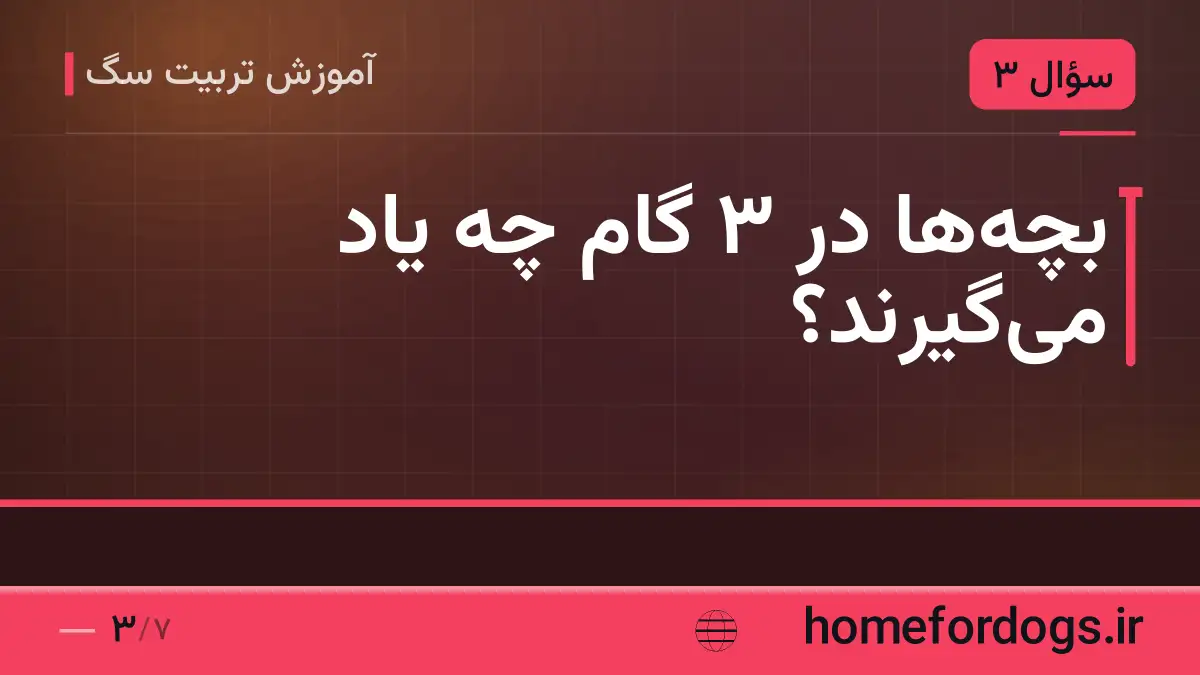 بچهها در ۳ گام چه یاد میگیرند؟