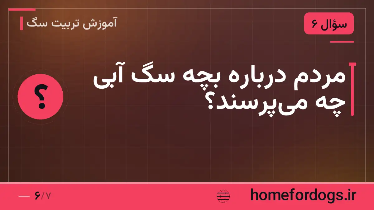 مردم دربارهٔ بچهٔ سگ آبی چه میپرسند؟