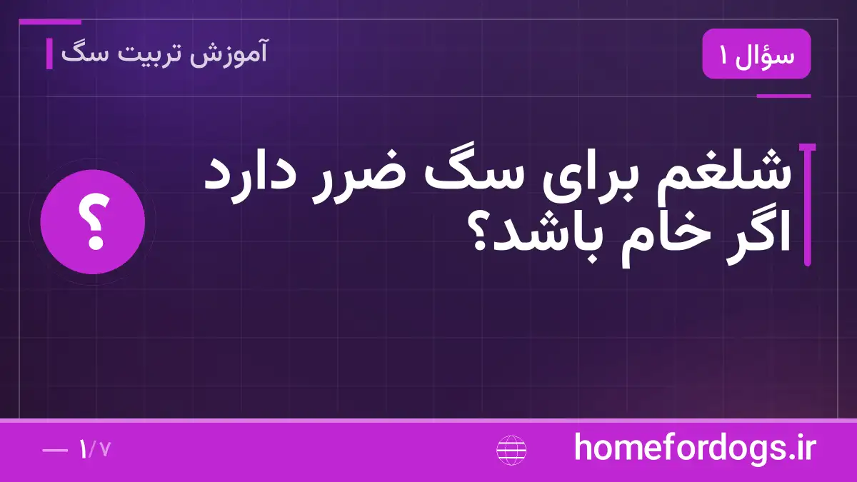 شلغم برای سگ ضرر دارد اگر خام باشد؟