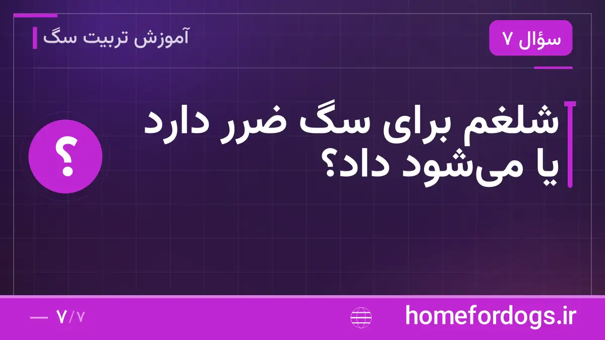 شلغم برای سگ ضرر دارد یا می‌شود داد؟