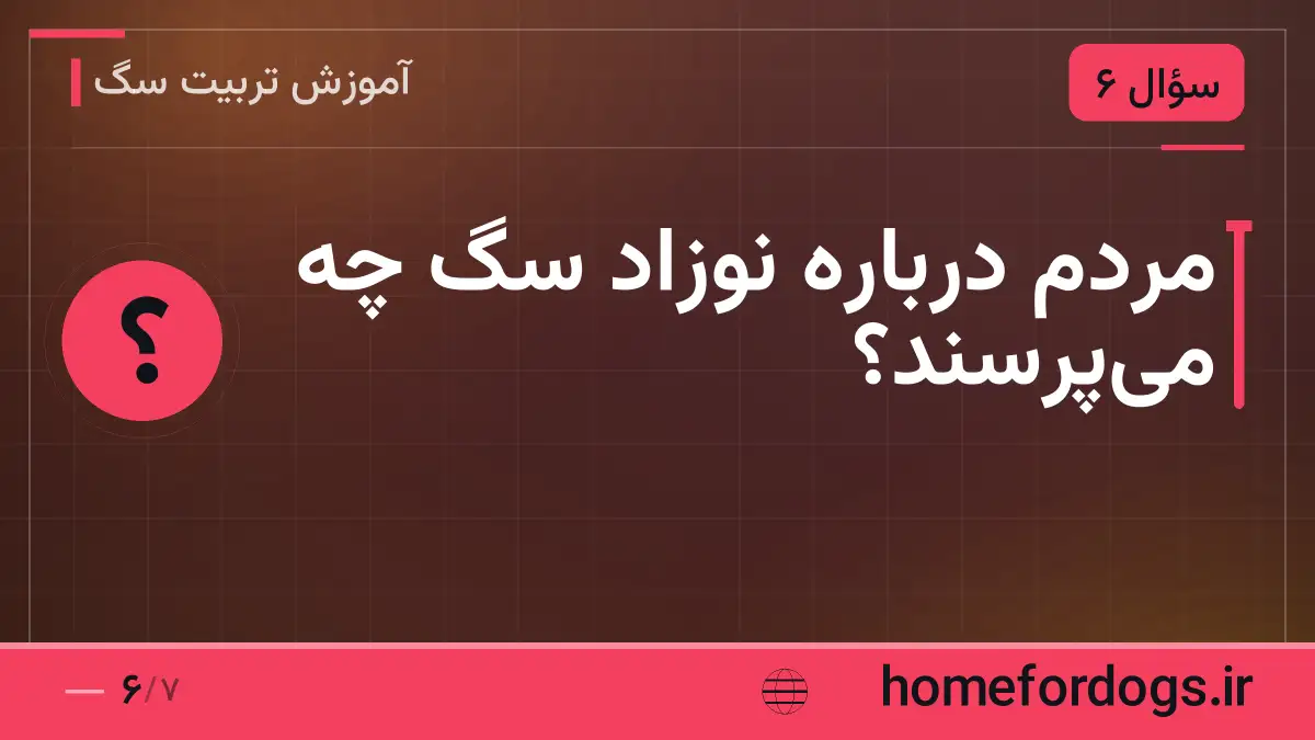 مردم درباره نوزاد سگ چه می‌پرسند؟