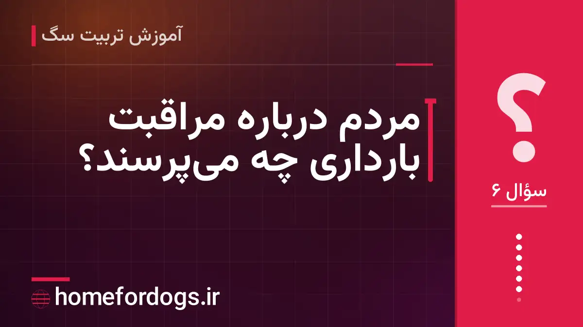 مردم درباره مراقبت بارداری چه می‌پرسند؟