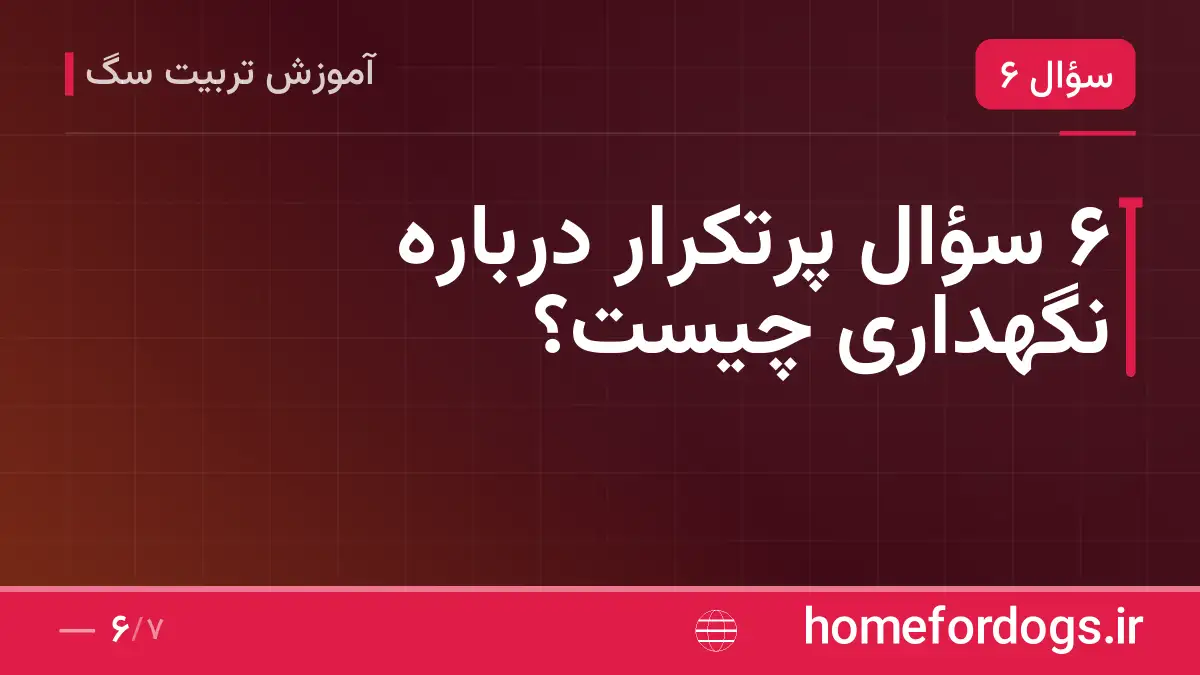 ۶ سؤال پرتکرار درباره نگهداری چیست؟