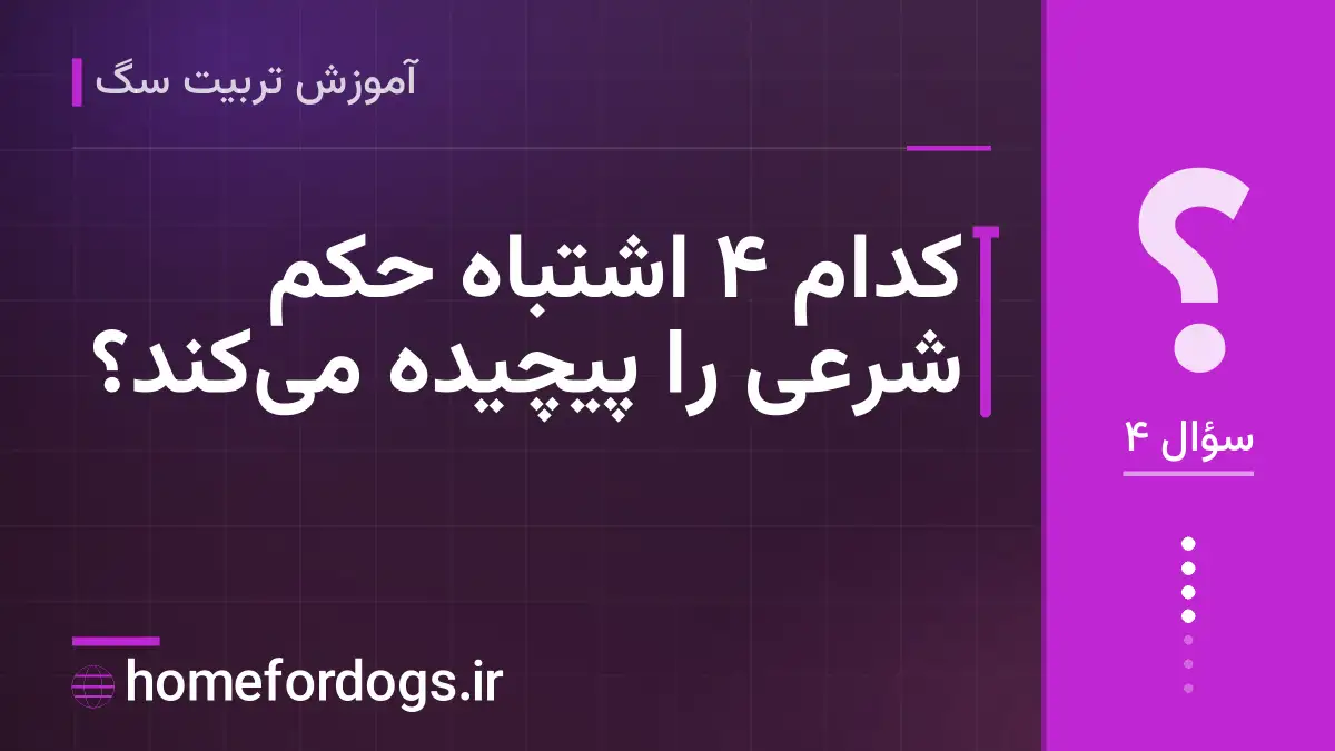کدام ۴ اشتباه حکم شرعی را پیچیده می‌کند؟