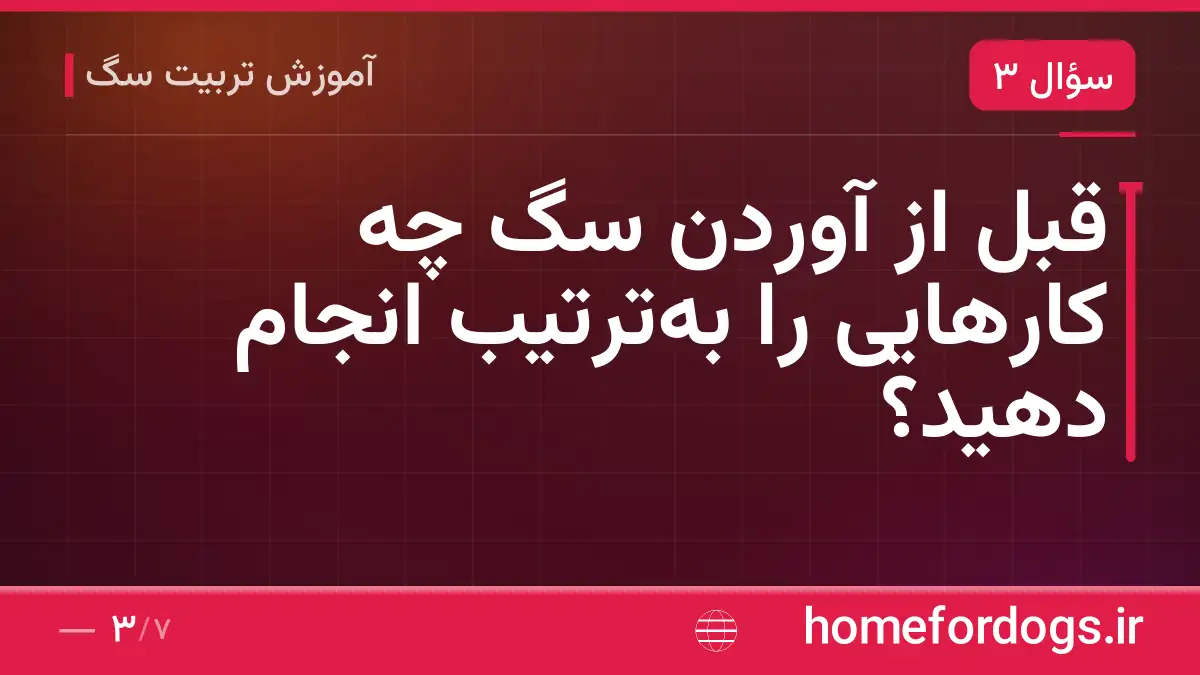 قبل از آوردن سگ چه کارهایی را بهترتیب انجام دهید؟