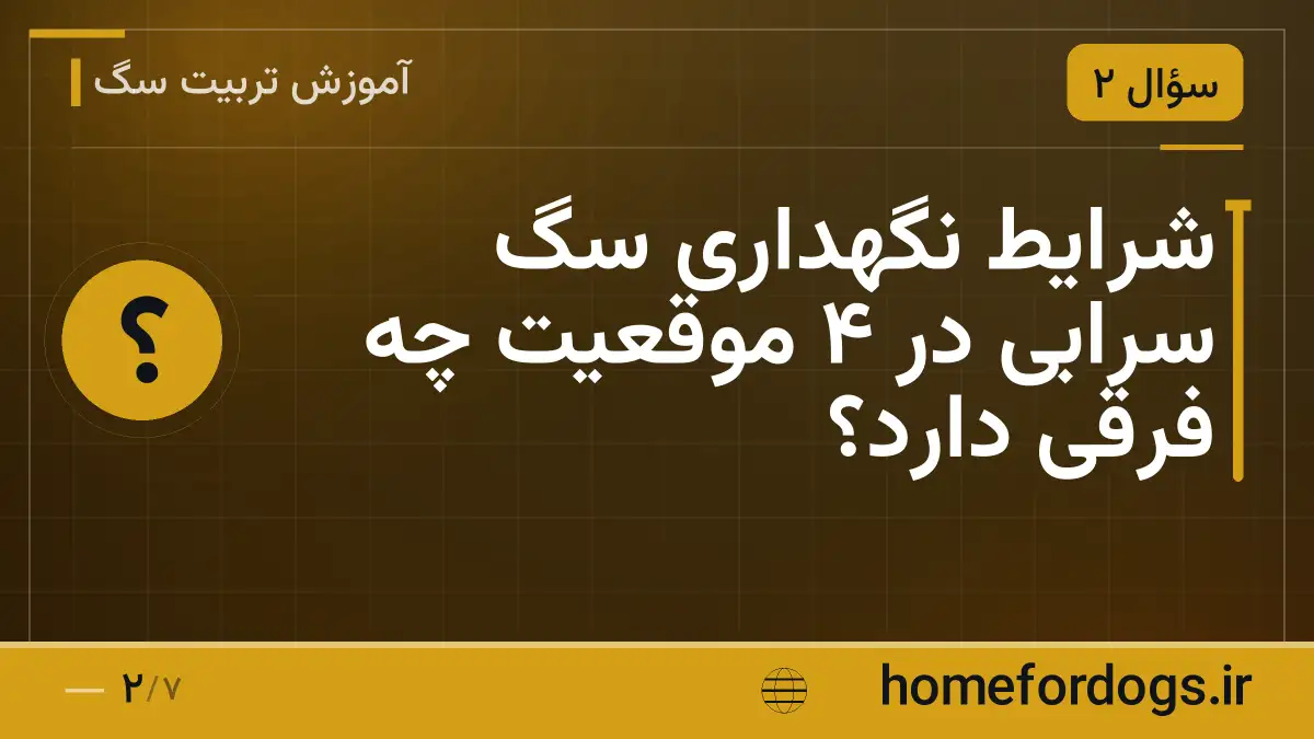 شرایط نگهداری سگ سرابی در ۴ موقعیت چه فرقی دارد؟