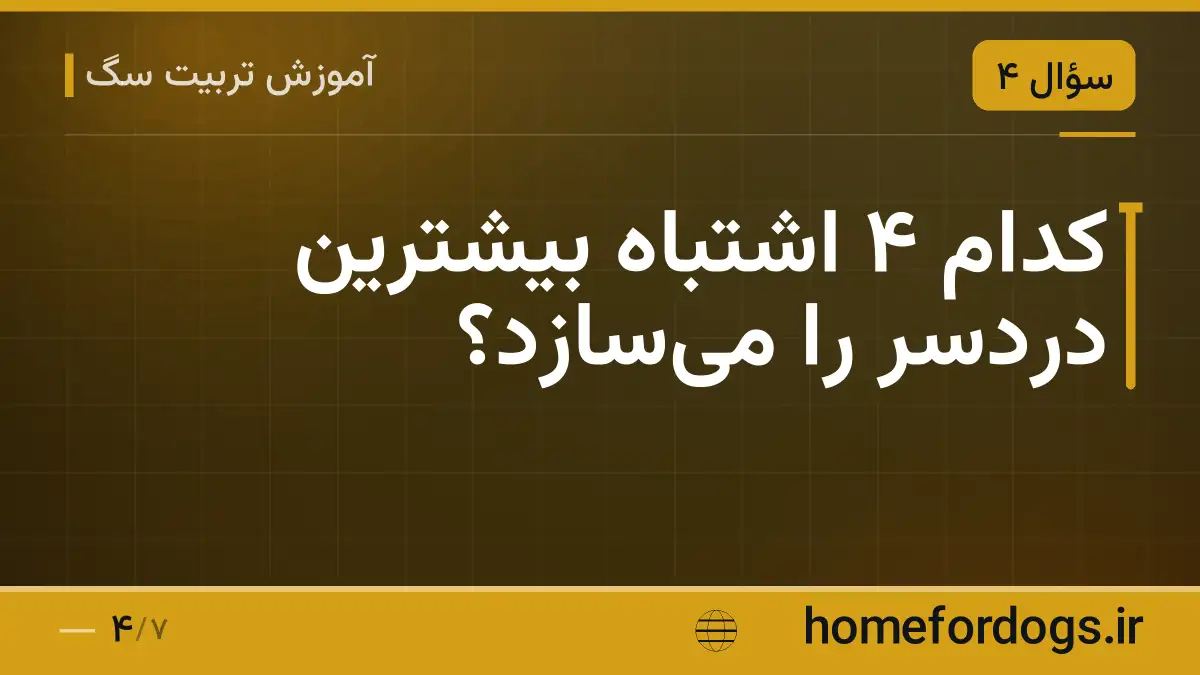 کدام ۴ اشتباه بیشترین دردسر را می‌سازد؟