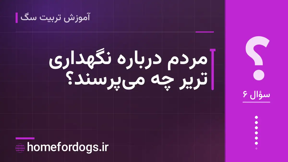 مردم درباره نگهداری تریر چه میپرسند؟