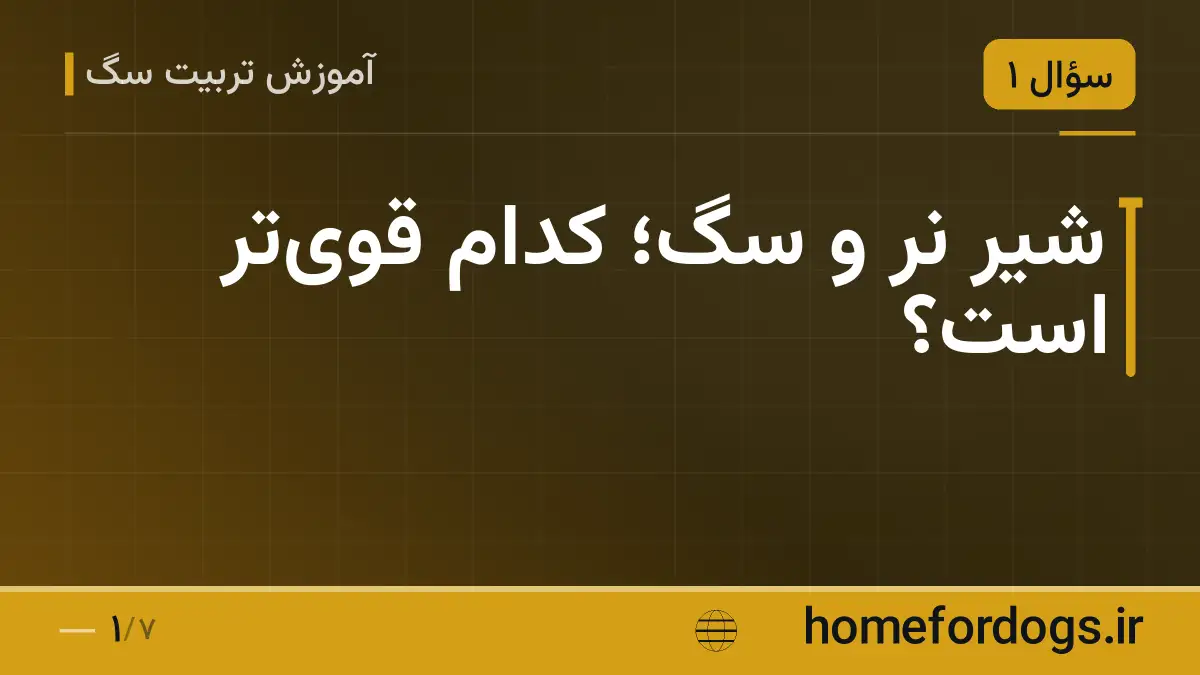 شیر نر و سگ؛ کدام قوی‌تر است؟