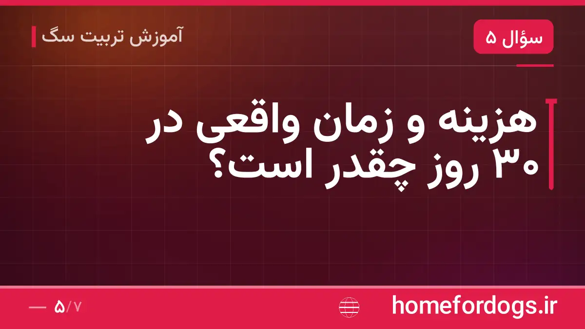 هزینه و زمان واقعی در ۳۰ روز چقدر است؟